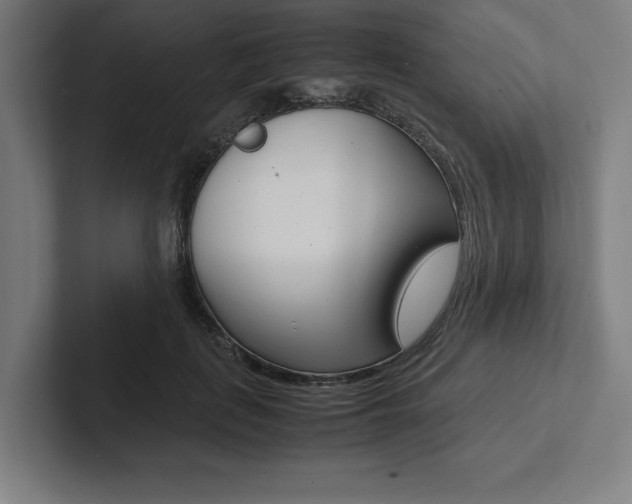 X0000102860651200808181026