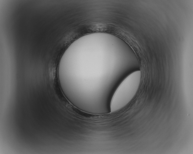X0000102860652200808181026