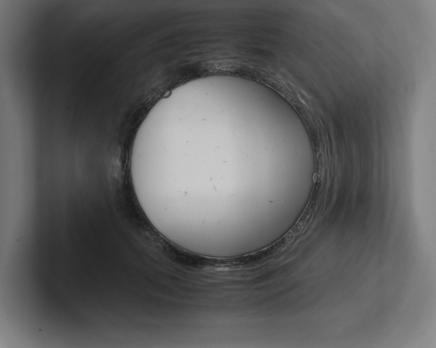 X0000102860655200808181026