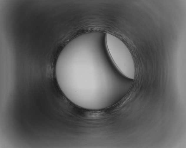 X0000102860661200808181026