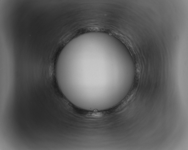 X0000102860665200808181026