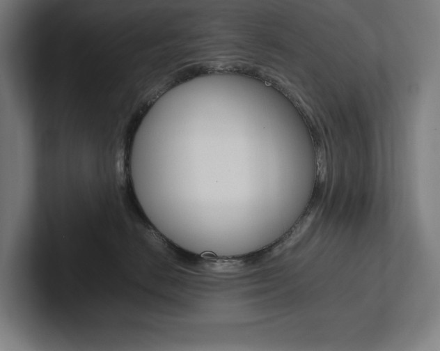 X0000102860670200808181026