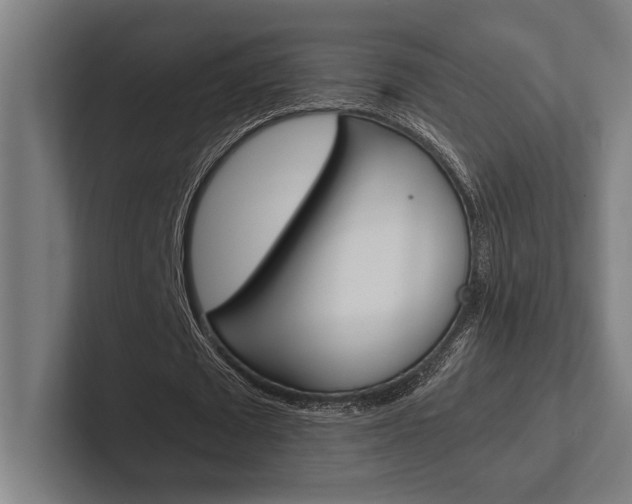 X0000102860673200808181026