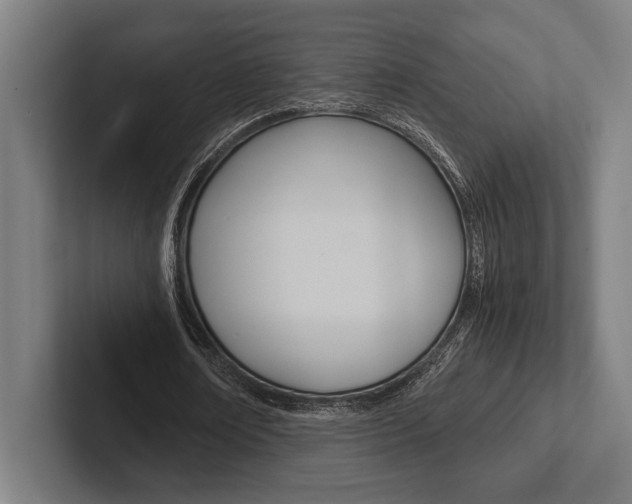 X0000102860674200808181026