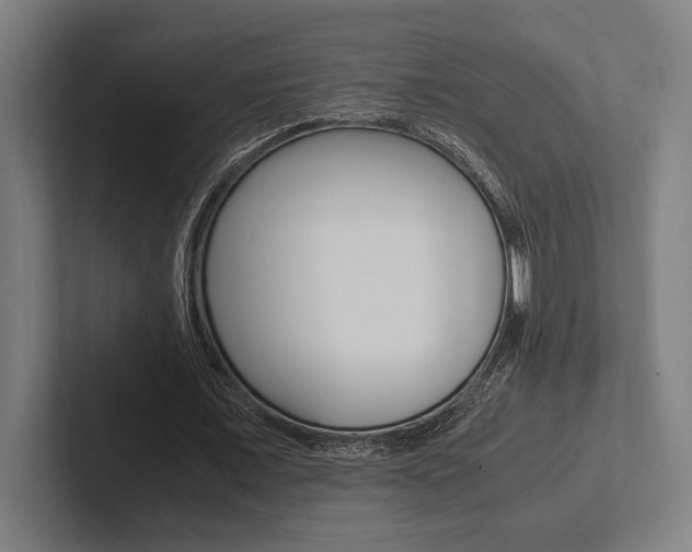 X0000102860675200808181026