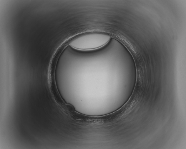 X0000102860676200808181026