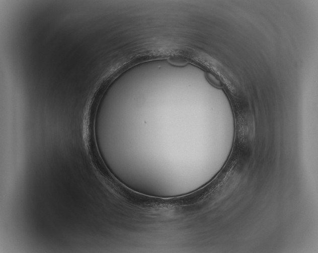 X0000102860677200808181026