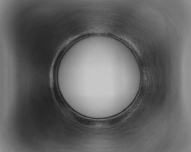 X0000102860678200808181026