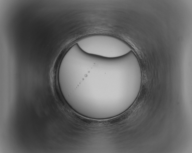 X0000102860679200808181026
