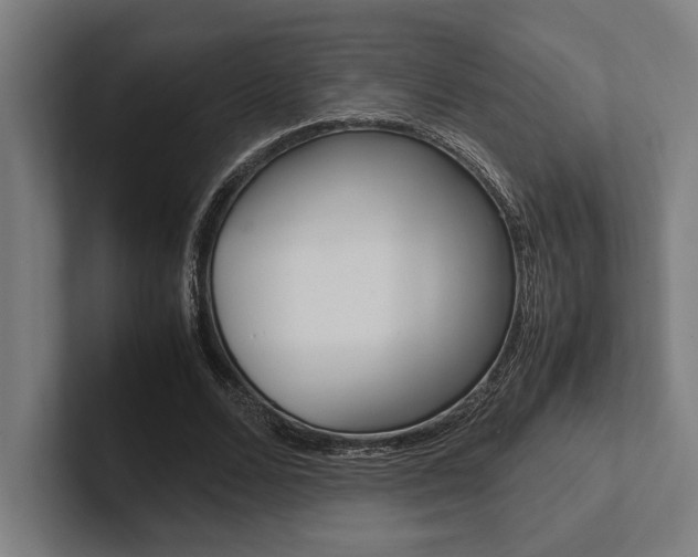 X0000102860680200808181026