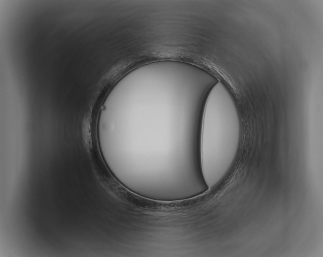 X0000102860682200808181026