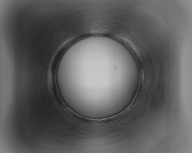 X0000102860684200808181026