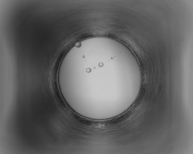 X0000102860687200808181026