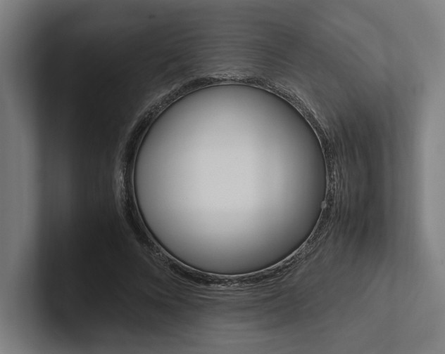 X0000102860688200808181026