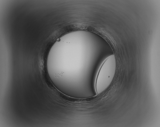 X0000102860693200808181026