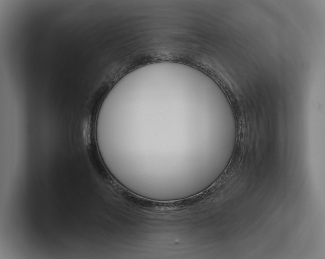 X0000102860694200808181026