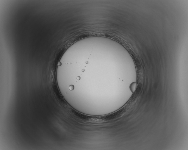 X0000102860699200808181026