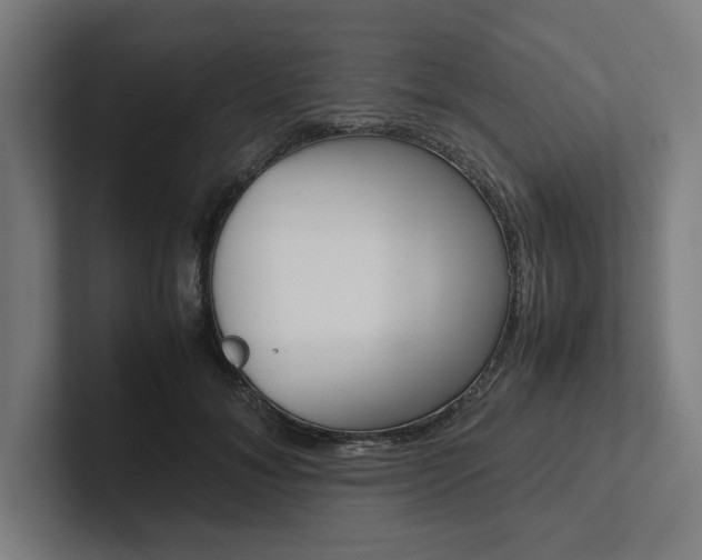 X0000102860700200808181025