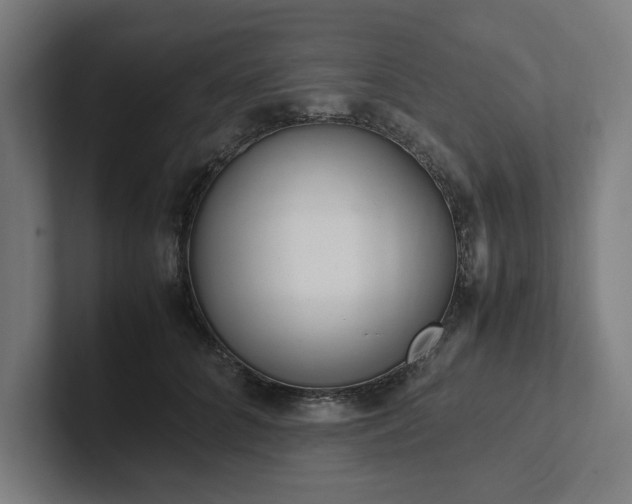 X0000102860704200808181025
