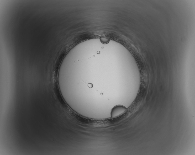 X0000102860707200808181025
