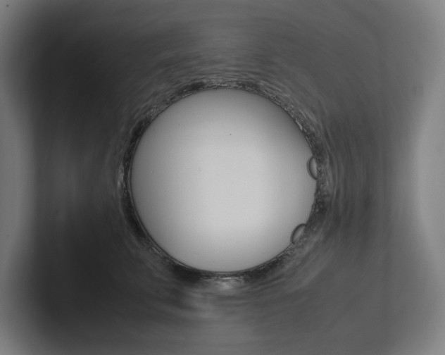 X0000102860711200808181025