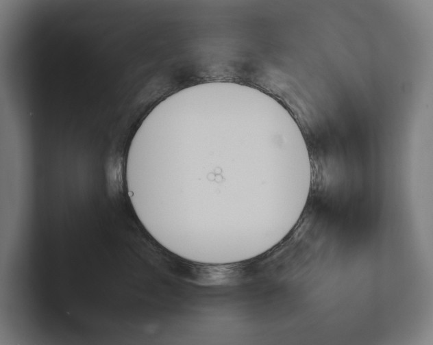 X0000102860717200808181025