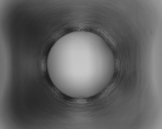 X0000102860719200808181025