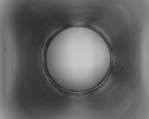 X0000102860721200808181025
