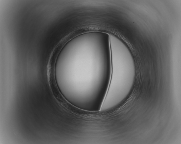 X0000102860722200808181025