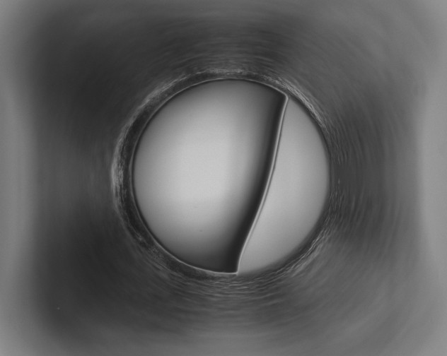 X0000102860723200808181025