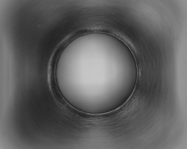 X0000102860724200808181025
