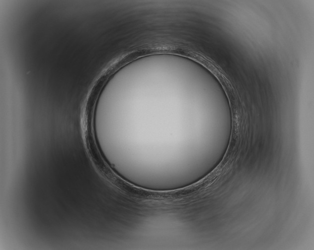 X0000102860726200808181025