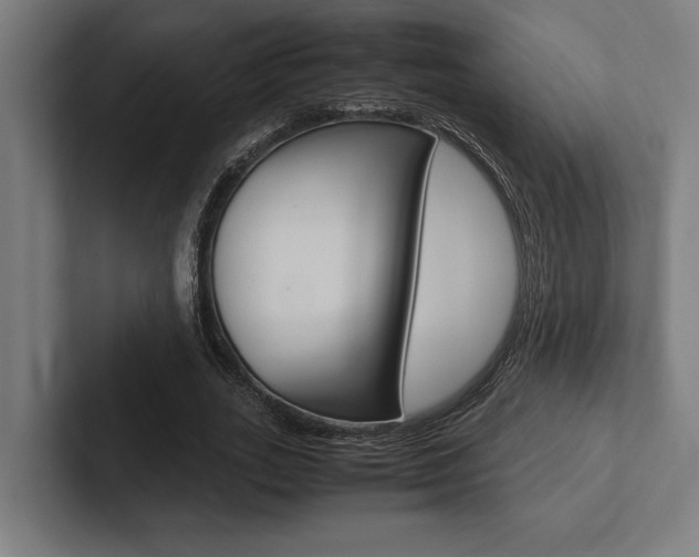 X0000102860727200808181025