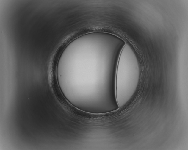 X0000102860728200808181025