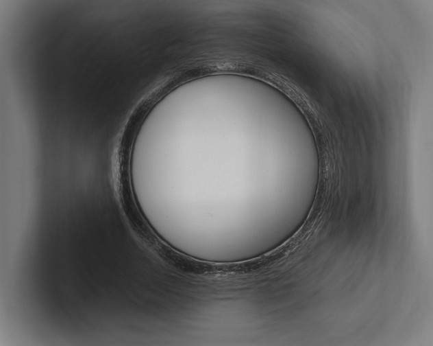X0000102860730200808181025