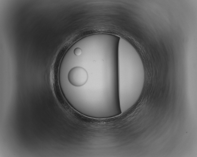 X0000102860734200808181025