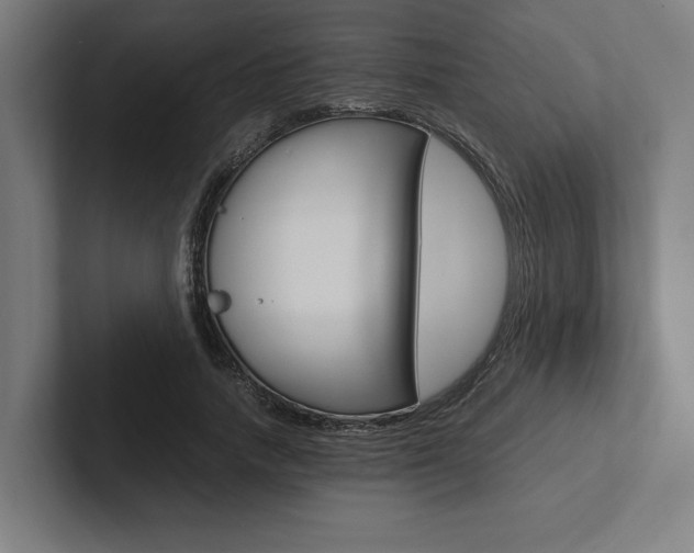 X0000102860738200808181025