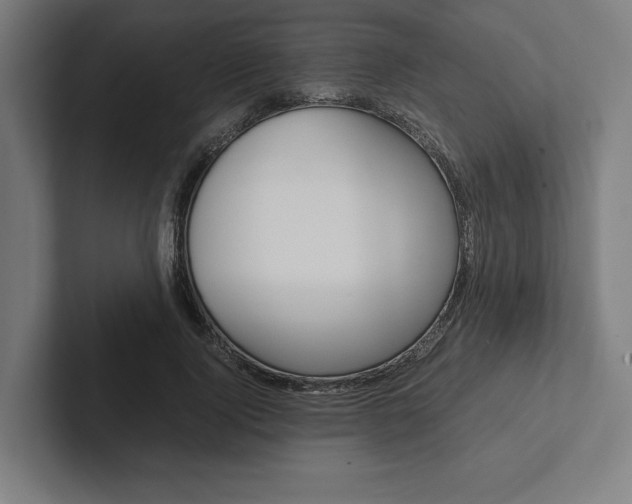 X0000102860740200808181025