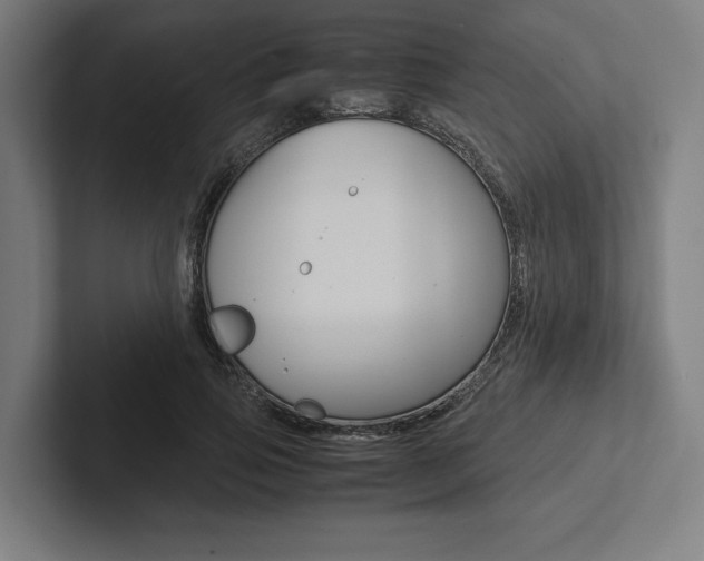 X0000102860741200808181025