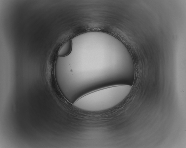 X0000102860742200808181025