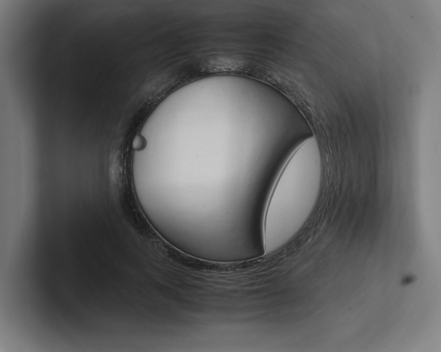 X0000102860743200808181025