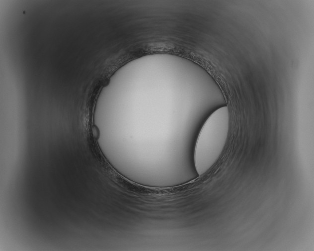 X0000102860745200808181025