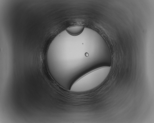 X0000102860747200808181025