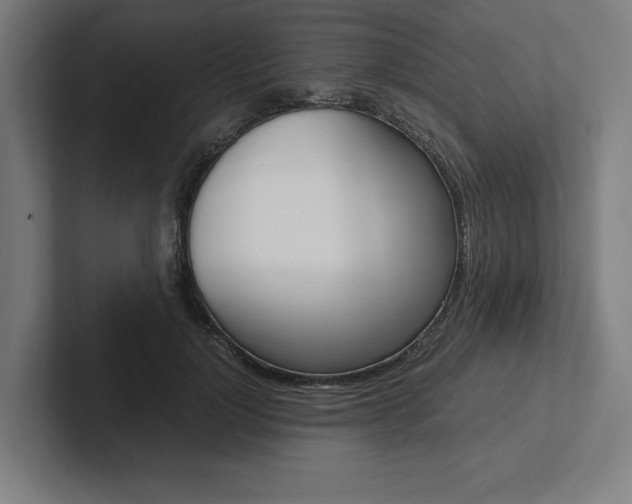 X0000102860748200808181025