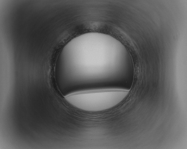 X0000102860750200808181025