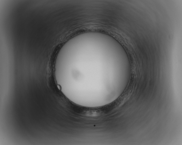 X0000102860751200808181025