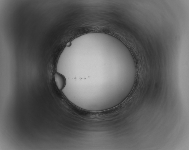 X0000102860752200808181025
