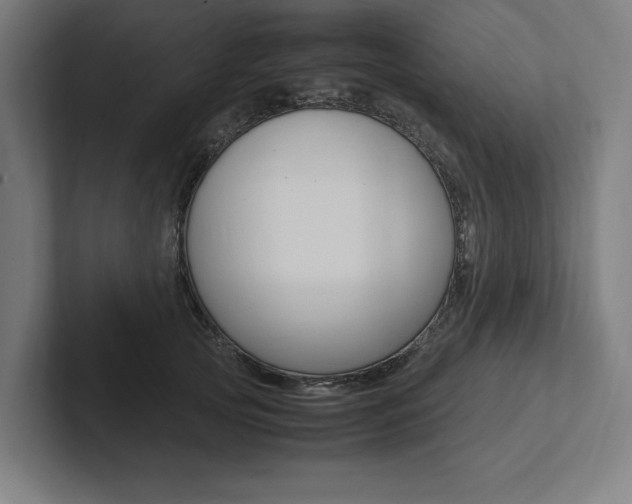 X0000102860753200808181025