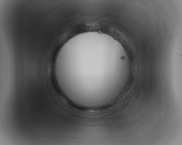 X0000102860756200808181025