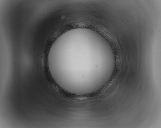 X0000102860760200808181025